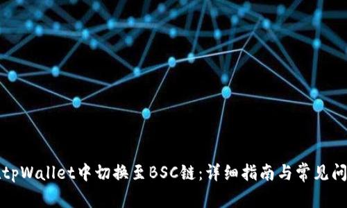 如何在tpWallet中切换至BSC链：详细指南与常见问题解答